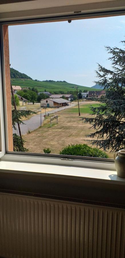 Gite Dans Vignoble Alsacien Westhalten Exterior photo