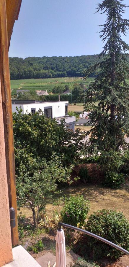 Gite Dans Vignoble Alsacien Westhalten Exterior photo